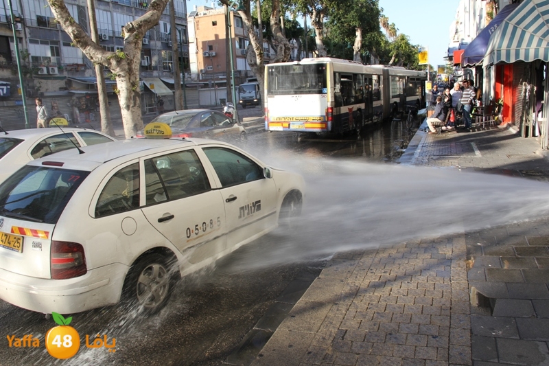 naforea jsadsah (1).JPG